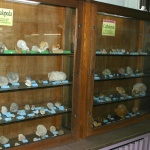 gabloty z glowonogami